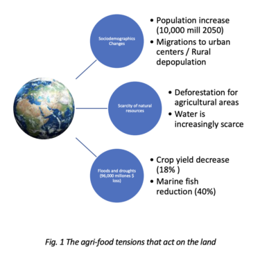 Agricultura intensiva