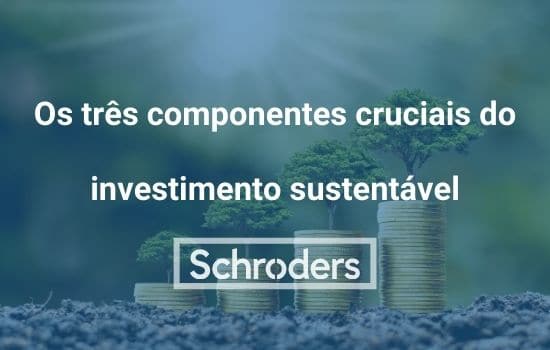Os três componentes cruciais do investimento sustentável