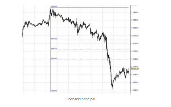 Fibonacci principal