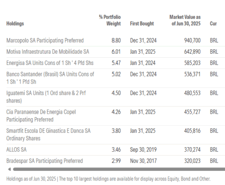 principais posições Bradesco Global Funds Brazilian Equities Mid Small Caps R EUR