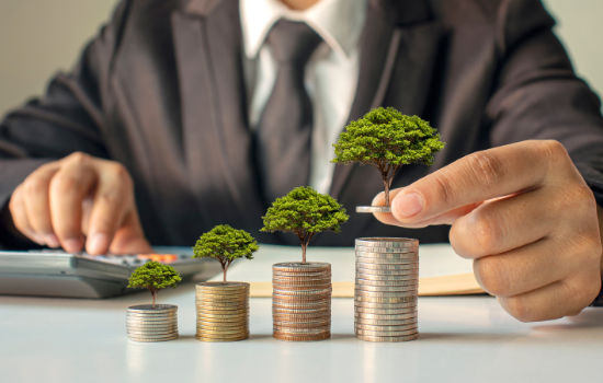 Análise do Fundo Schroder ISF Global Sustainable Growth