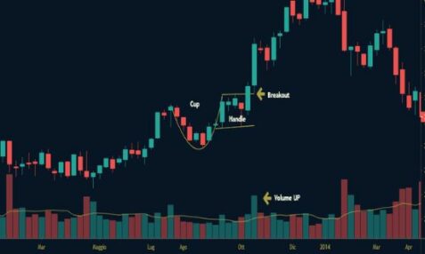 Cup and Handle