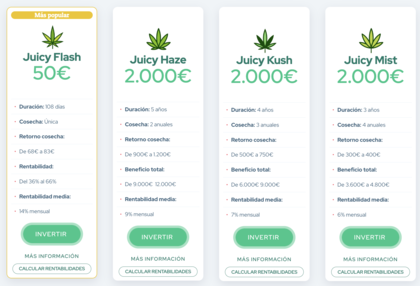 Como ganha dinheiro com JuicyFields?