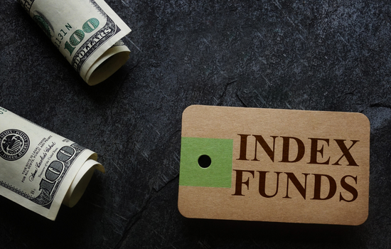 Index Funds (fundos de índice) o que são?