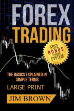 "Forex Trading: The Basics Explained in Simple Terms" por Jim Brown