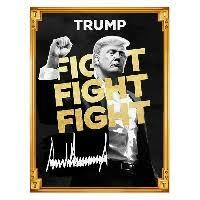 Trumpcoin: um exemplo de memecoin associada a Donald Trump