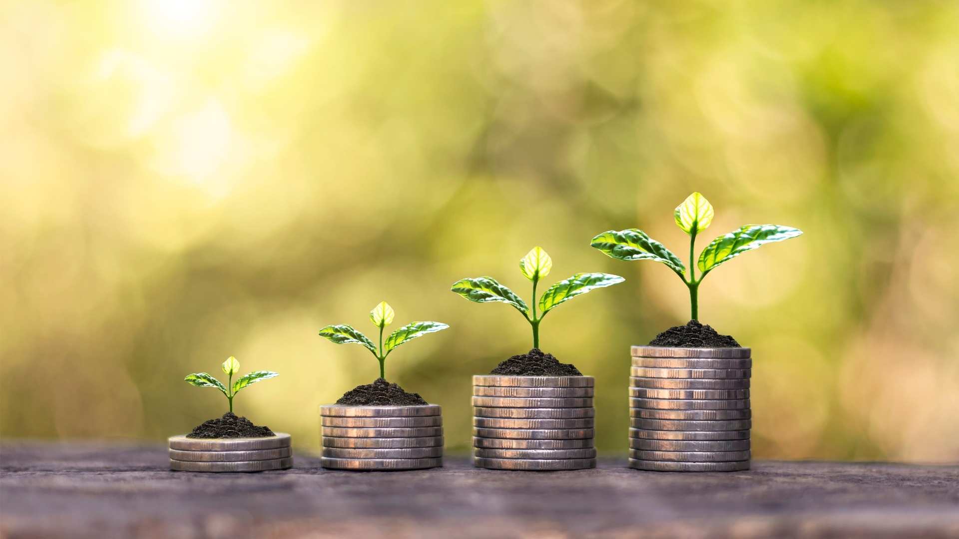 Onde investir com juros compostos