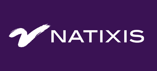 natixis artigo review