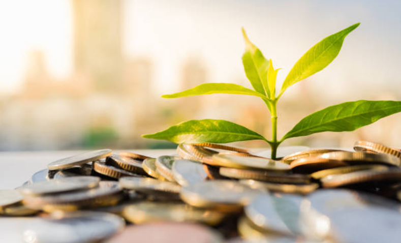 criar um fundo de investimento