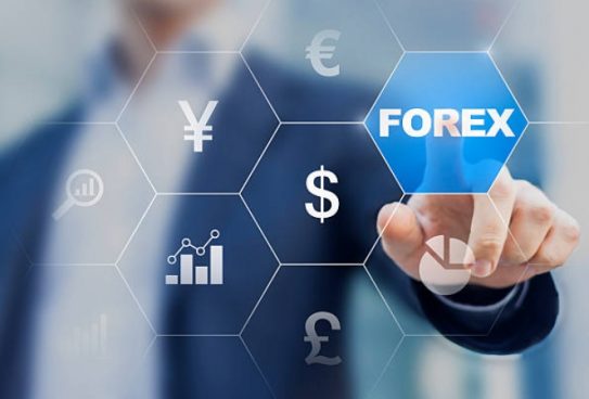 rentabilidades em forex