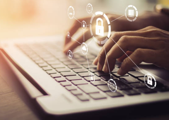 seguros online