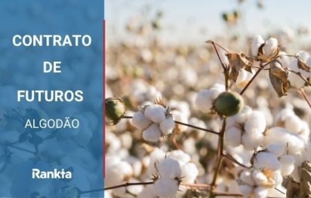 contratos de futuros de algodão