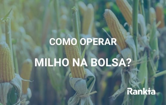 Operar milho