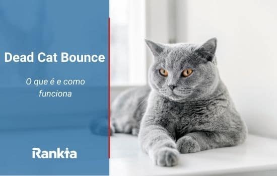 "Dead Cat Bounce": o que é e como funciona